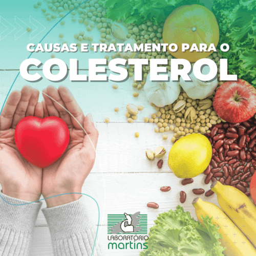 Causas e tratamento para o colesterol